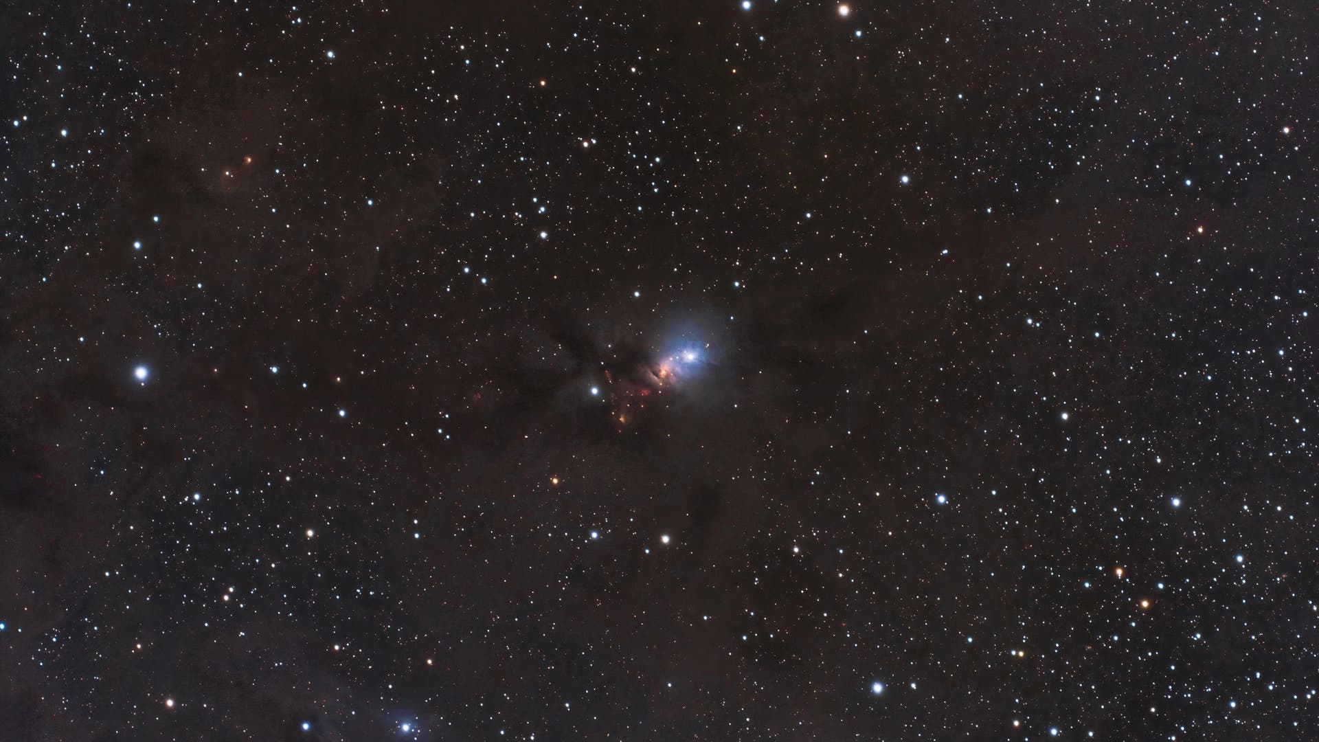 NGC 1333 Spektrum der Wissenschaft
